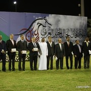 2013 Ajman Arabian Horse Show (day 3)