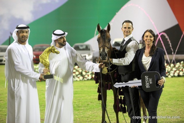 2013 Ajman Arabian Horse Show (day 3)