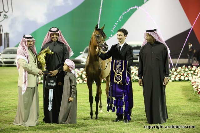 2013 Ajman Arabian Horse Show (day 3)