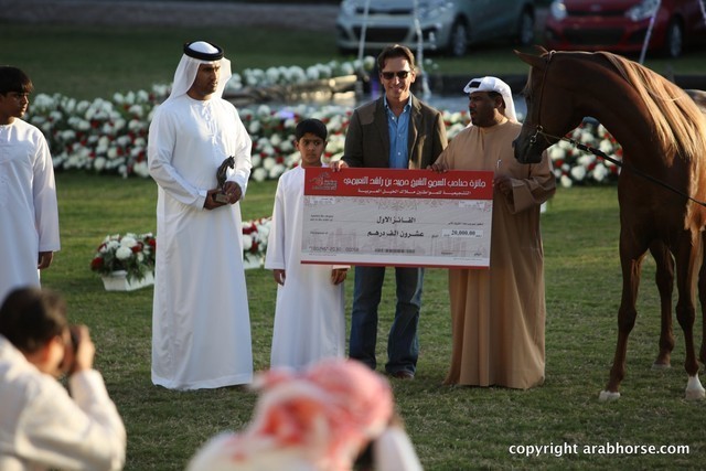 2013 Ajman Arabian Horse Show (day 3)