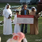 2013 Ajman Arabian Horse Show (day 3)