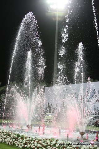 2013 Ajman Arabian Horse Show (day 3)