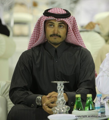 2013 Ajman Arabian Horse Show (day 3)