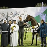 2013 Ajman Arabian Horse Show (day 3)