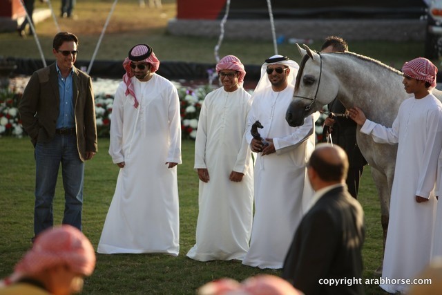 2013 Ajman Arabian Horse Show (day 3)