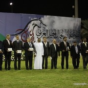 2013 Ajman Arabian Horse Show (day 3)