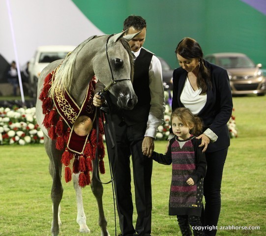 2013 Ajman Arabian Horse Show (day 3)