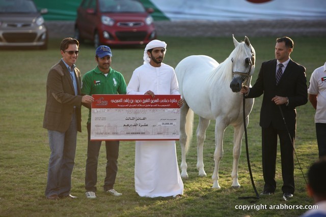 2013 Ajman Arabian Horse Show (day 3)