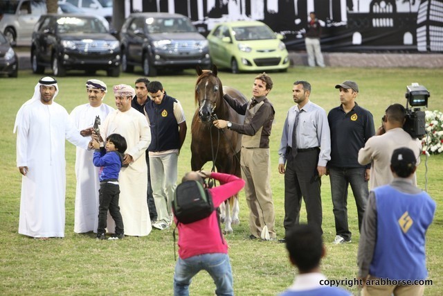 2013 Ajman Arabian Horse Show (day 3)