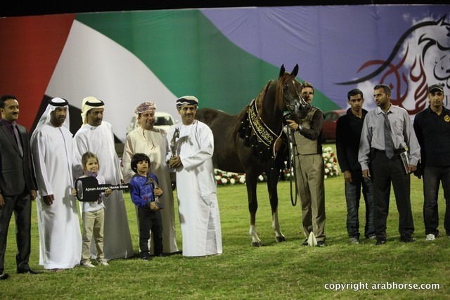 2013 Ajman Arabian Horse Show (day 3)