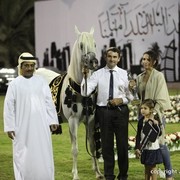 2013 Ajman Arabian Horse Show (day 3)