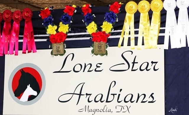 Houston Arabian Show