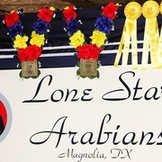 Houston Arabian Show