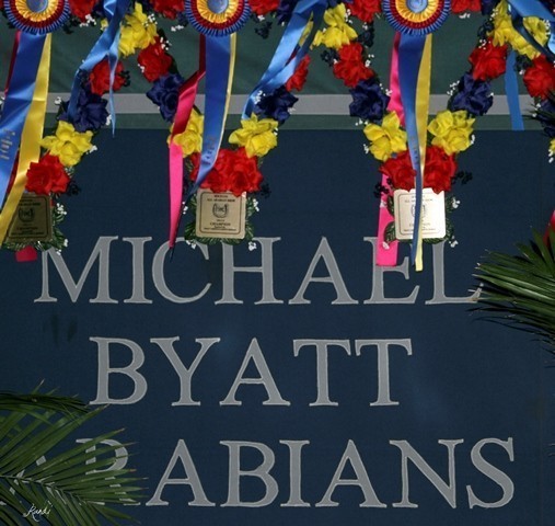 Houston Arabian Show