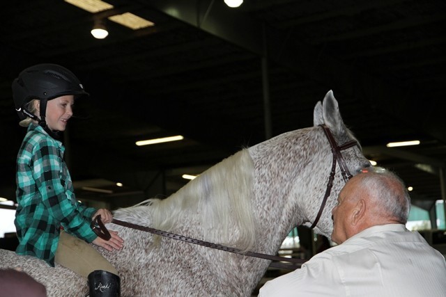 Houston Arabian Show