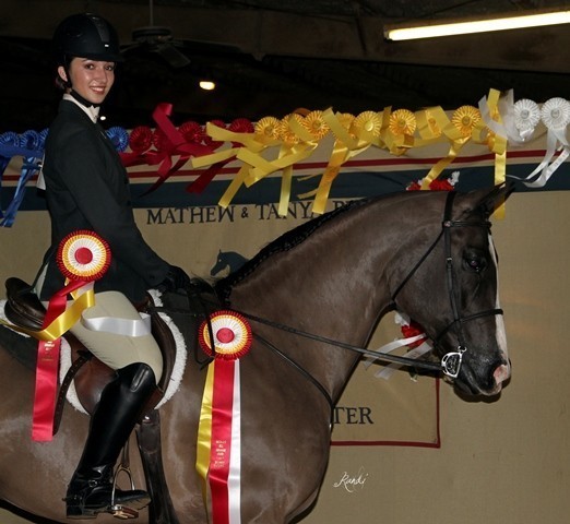Houston Arabian Show