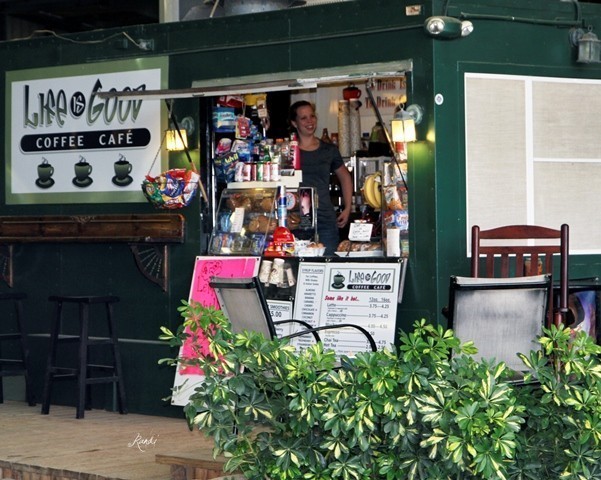 Houston Arabian Show