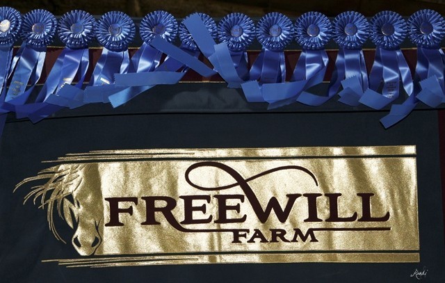 Houston Arabian Show