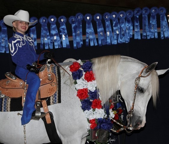 Houston Arabian Show
