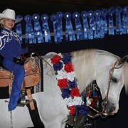 Houston Arabian Show