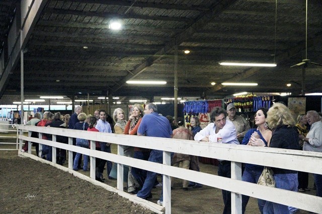 Houston Arabian Show
