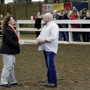 Houston Arabian Show