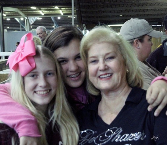 Houston Arabian Show