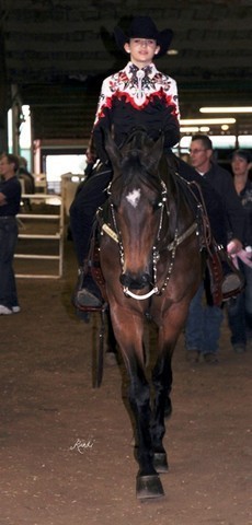 Houston Arabian Show