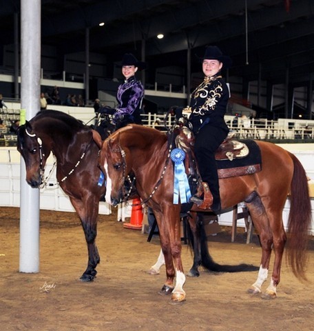 Houston Arabian Show