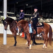 Houston Arabian Show