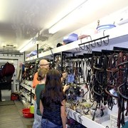 Houston Arabian Show