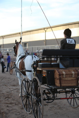2013 Scottsdale Arabian Horse Show