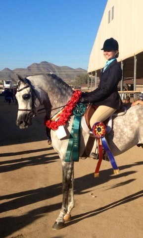 2013 Scottsdale Arabian Horse Show