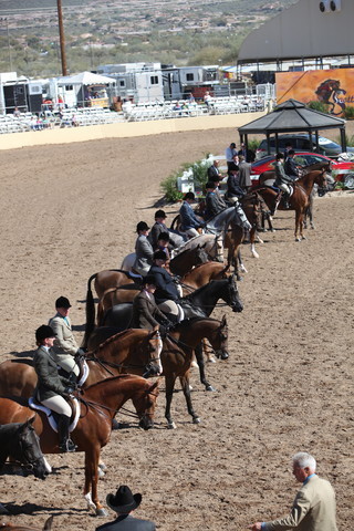 2013 Scottsdale Arabian Horse Show