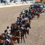 2013 Scottsdale Arabian Horse Show