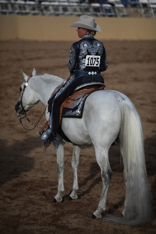 2013 Scottsdale Arabian Horse Show