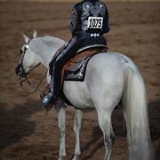 2013 Scottsdale Arabian Horse Show