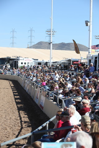 2013 Scottsdale Arabian Horse Show