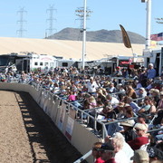 2013 Scottsdale Arabian Horse Show