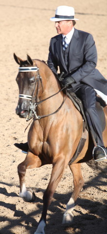 2013 Scottsdale Arabian Horse Show