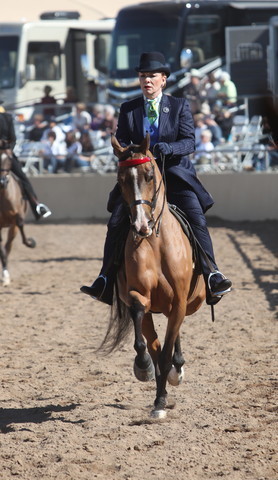 2013 Scottsdale Arabian Horse Show