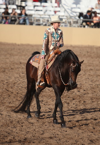 2013 Scottsdale Arabian Horse Show