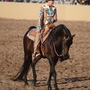 2013 Scottsdale Arabian Horse Show