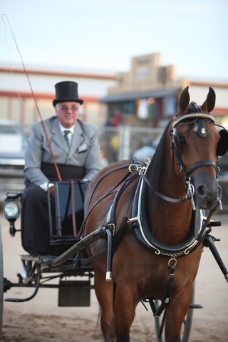 2013 Scottsdale Arabian Horse Show