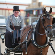 2013 Scottsdale Arabian Horse Show