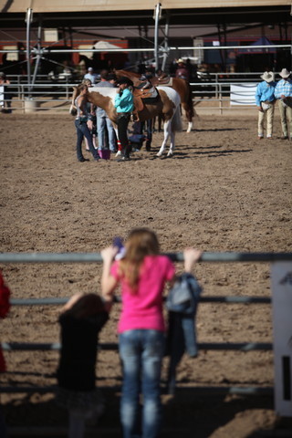 2013 Scottsdale Arabian Horse Show