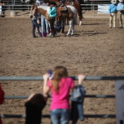 2013 Scottsdale Arabian Horse Show