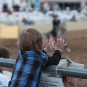 2013 Scottsdale Arabian Horse Show