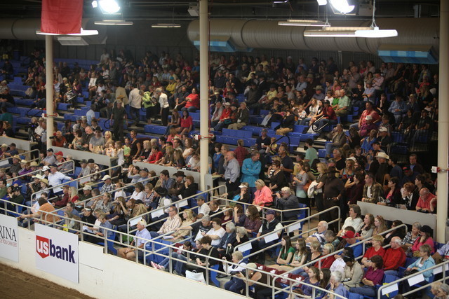 2013 Scottsdale Arabian Horse Show