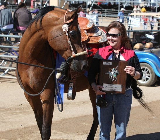 2013 Scottsdale Arabian Horse Show